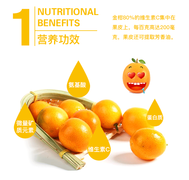 福建尤溪特产 管前金柑金桔新鲜水果现摘现发 中国金柑之乡脆皮黄金桔