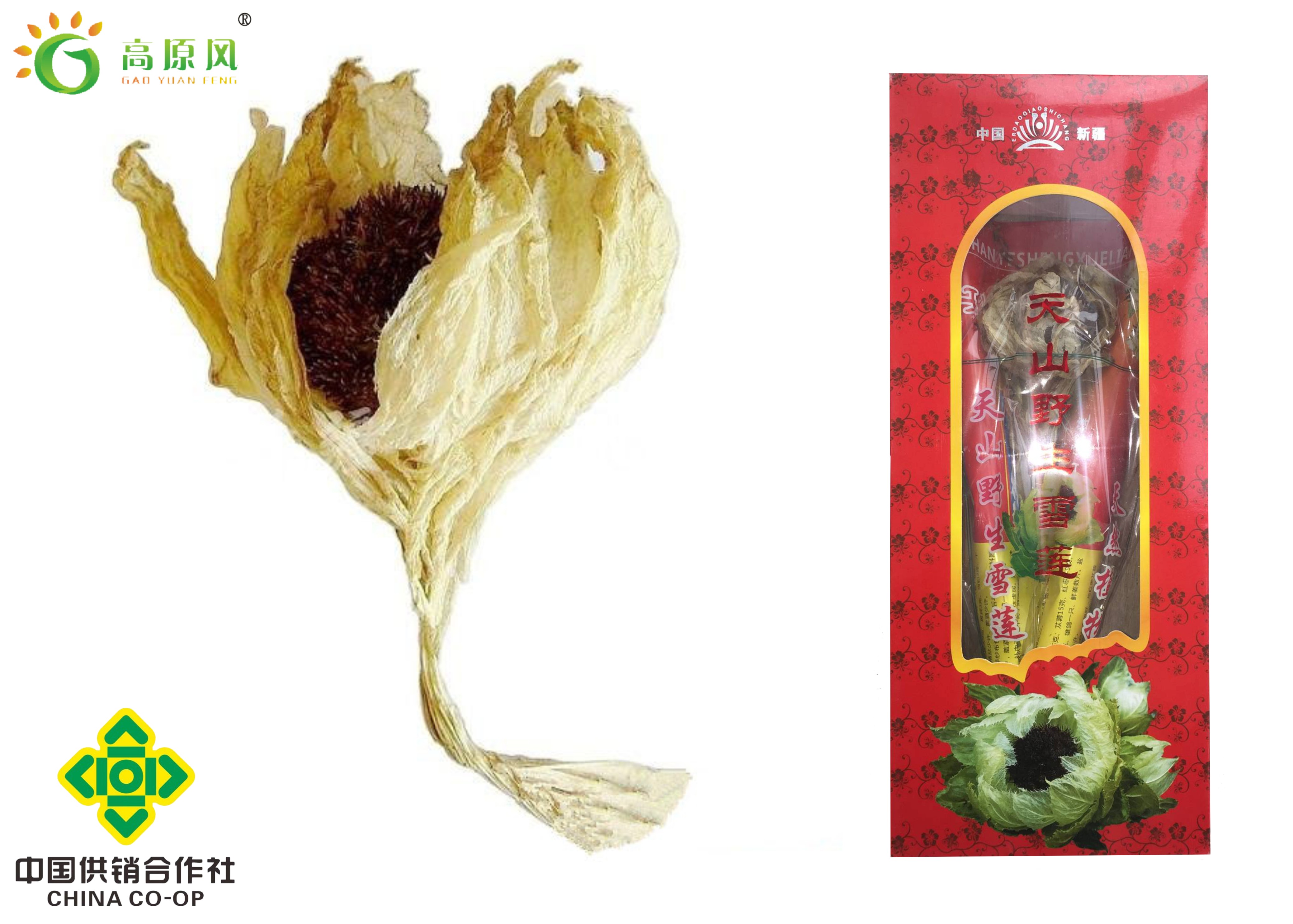 和神奇性的特点,人们奉雪莲为