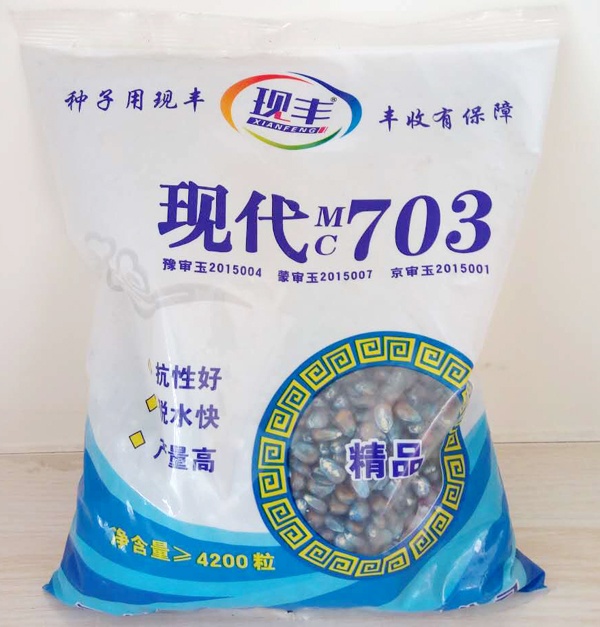 现代703玉米种子 每包4200粒 漯河艾农