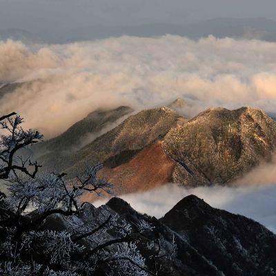 赣州市崇义县万时山