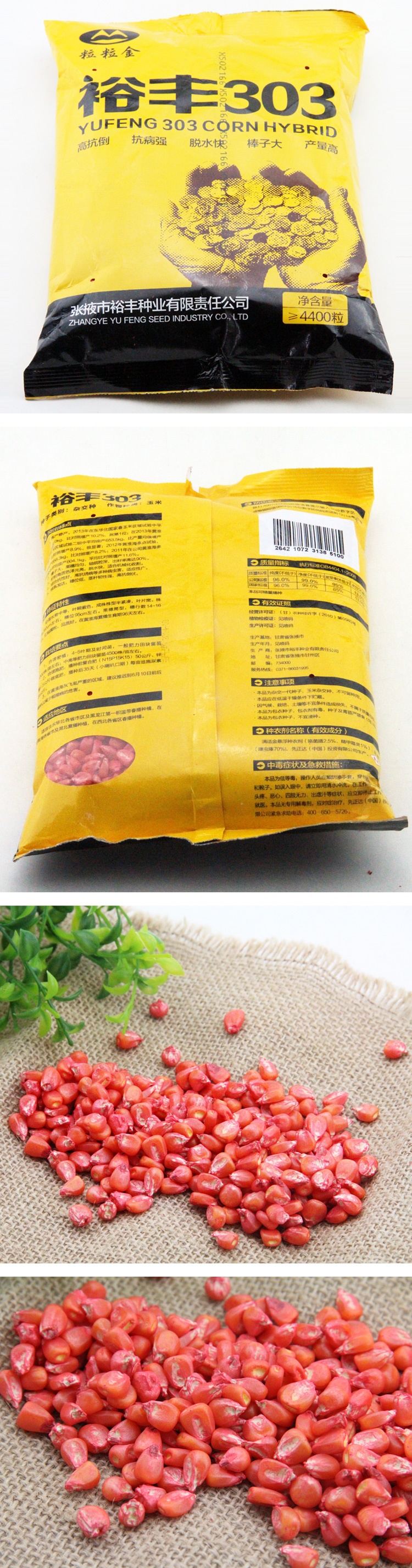 裕丰303玉米种子 高产 优质 抗病强 可批发4400粒/袋